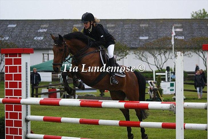 Anden særlig race Pilgaards Kiwi - Pilgaards Kiwi !<3 billede 9