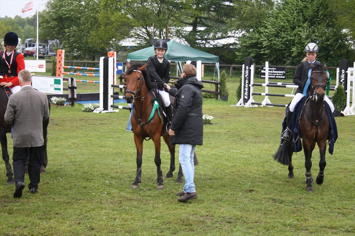 Anden særlig race Pilgaards Kiwi - 4 plads - Andreas Schou :D billede 8