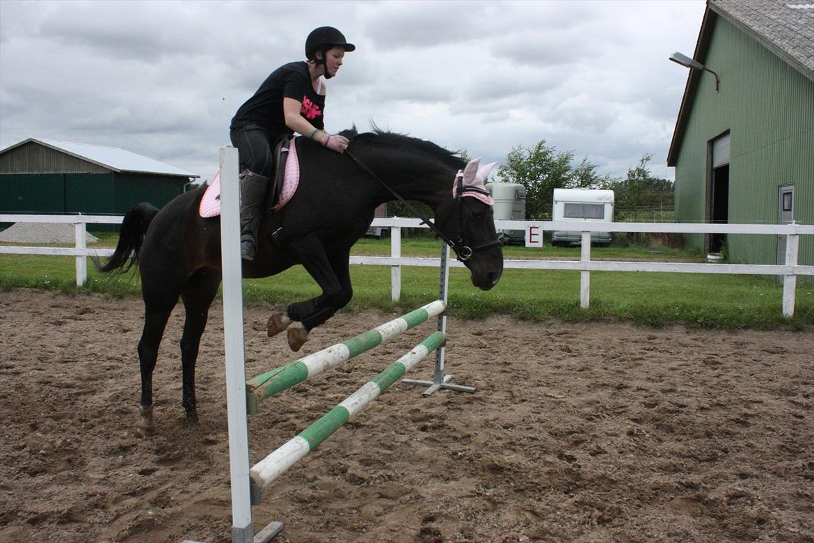 Anden særlig race Taco <3 *soulmate* - springer cirka 70 cm. er så stolt af den lille pony!! :D 
Lørdag d.13.08.11 foto Maria billede 4