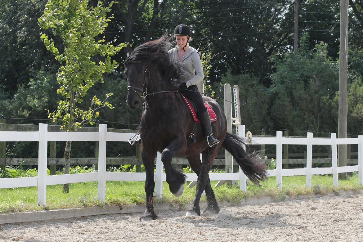 Frieser Lukas Rønge billede 10