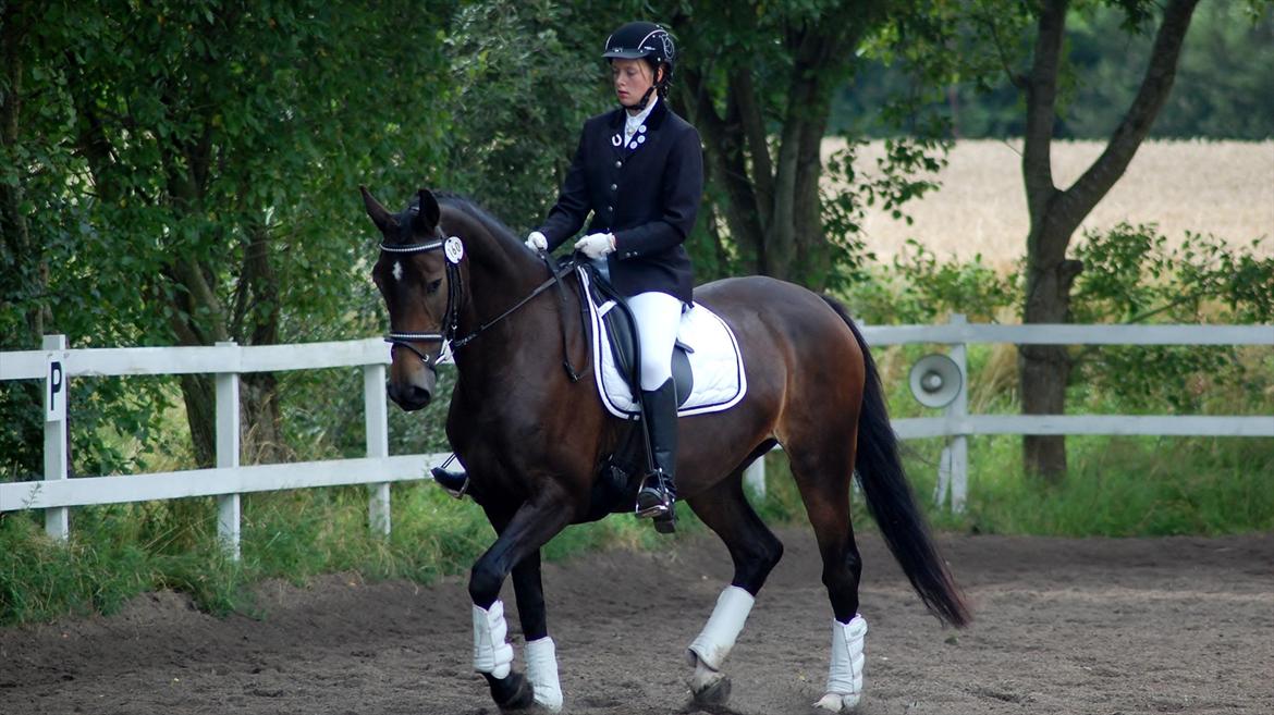 Anden særlig race Sascha - Min elskede hest & jeg til stævne i RORK d. 13/8 11<3 billede 19