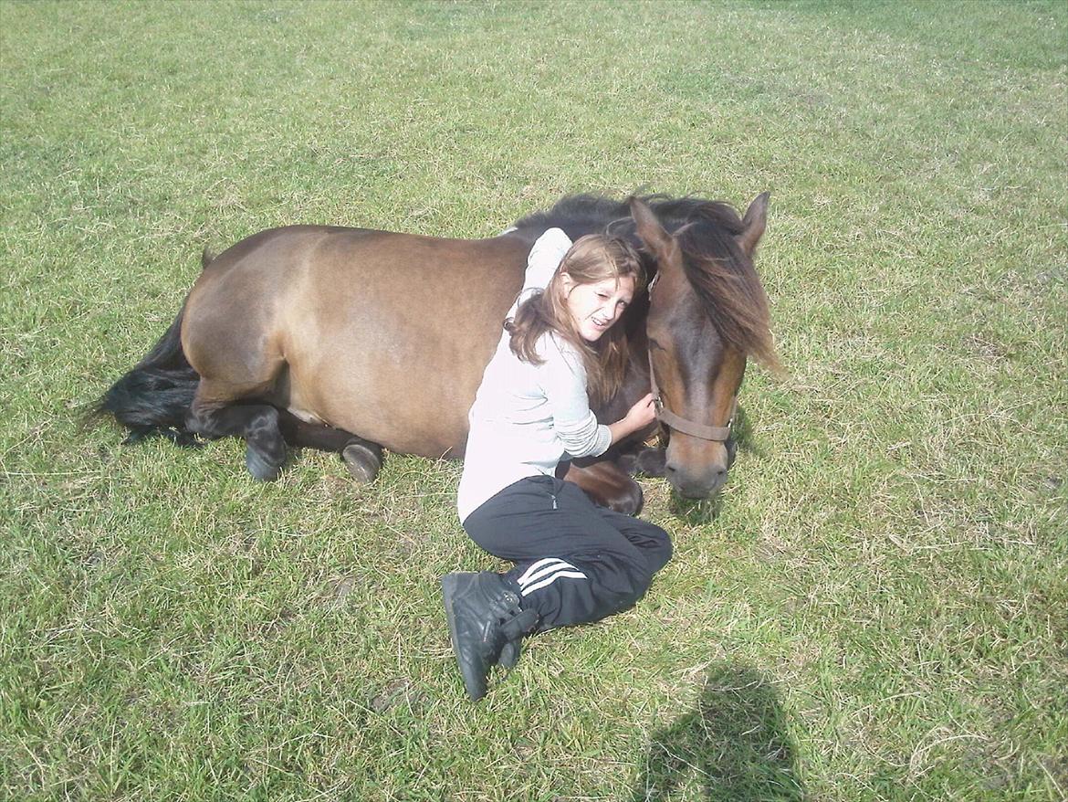 Anden særlig race Zigge Z billede 12
