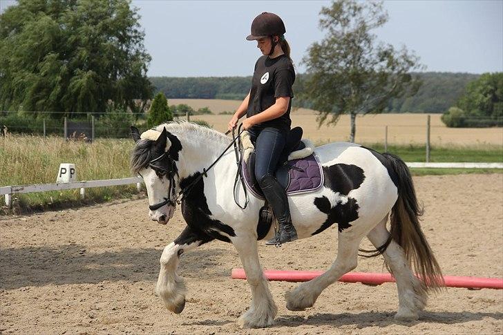 Tinker | Tinka - Knæløft... <3 Foto: Maria Rasch billede 9