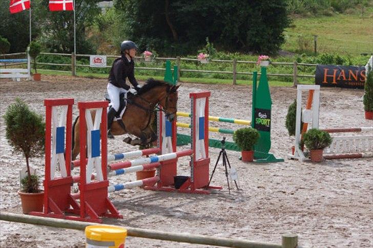 Anden særlig race Caroma´s Bill - stævne i karlslunde.. gik af lort men han ser skam meget fin ud her :) billede 17