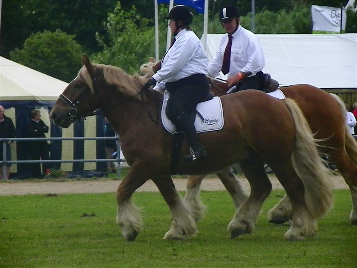 Jyde Thor (Thorkild) - Kvadrilie opvisning under Landsskuet 2011 billede 19