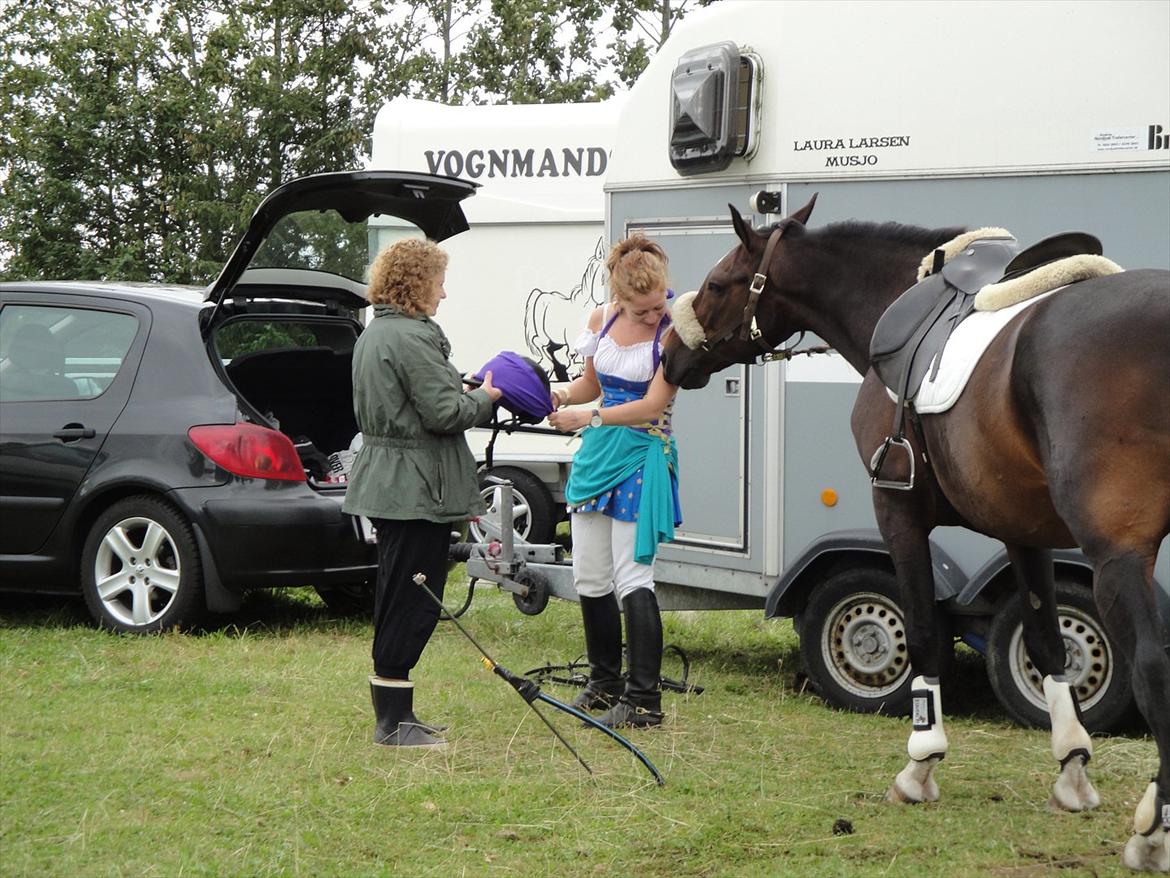 Anden særlig race A'strix - Inden kostume springning (LE) i Skæve. billede 12