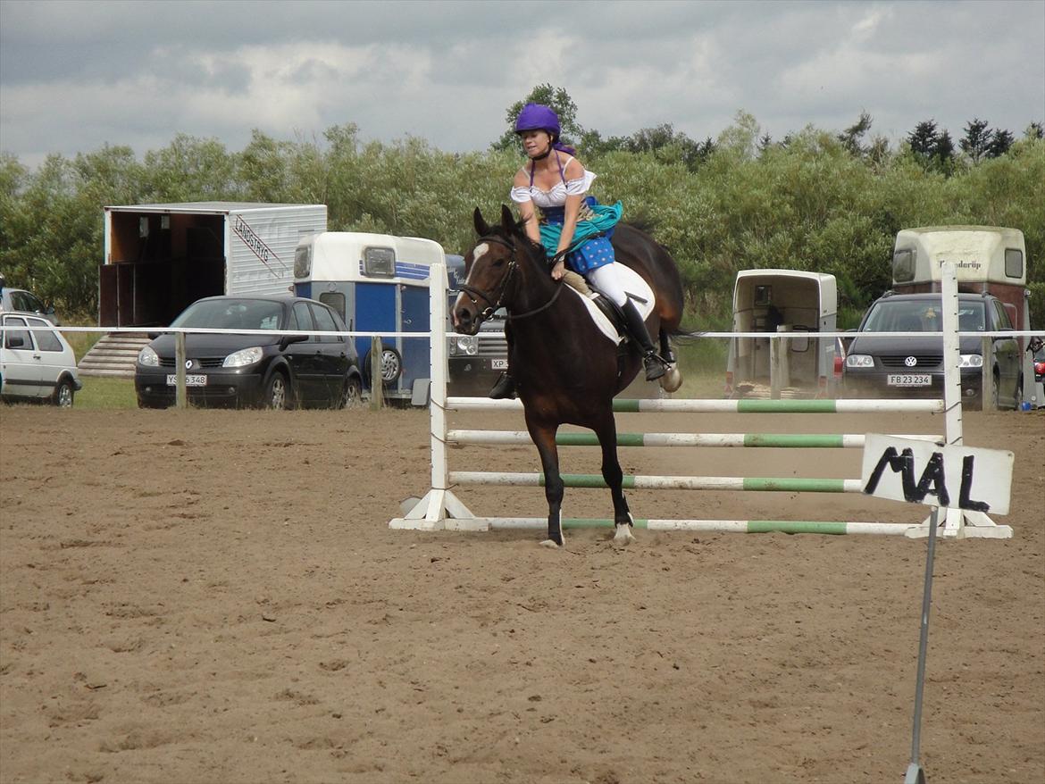 Anden særlig race A'strix - Kostumespringning (LE) Skæve. billede 11