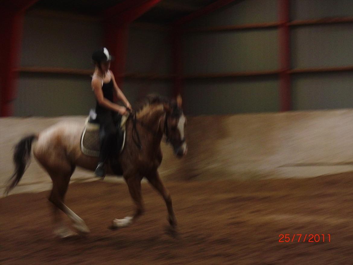 Appaloosa Rambo - Dressur undervisning, 25/7 2011 ;D Ikk* så skarp til dressur;D billede 11