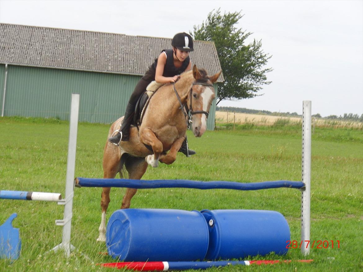 Appaloosa Rambo - <3 billede 13