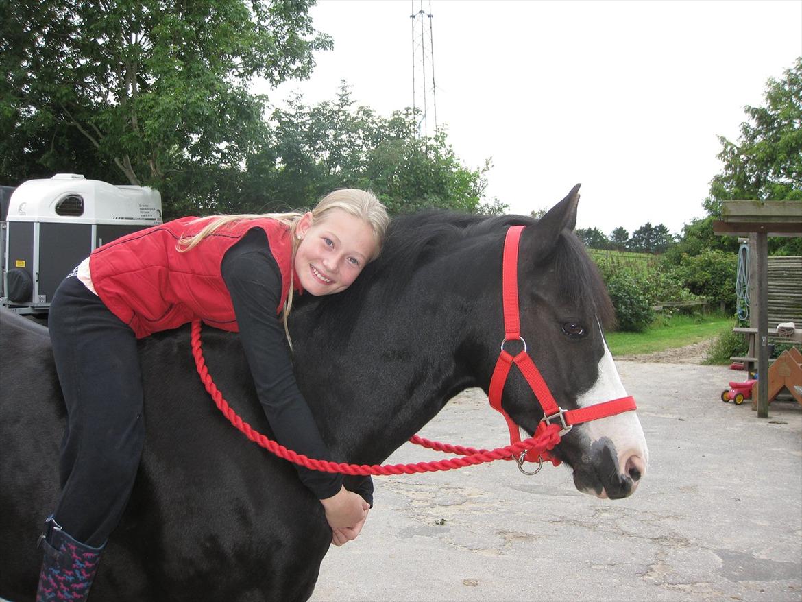 DSP Principal Touch - August 2011 billede 13