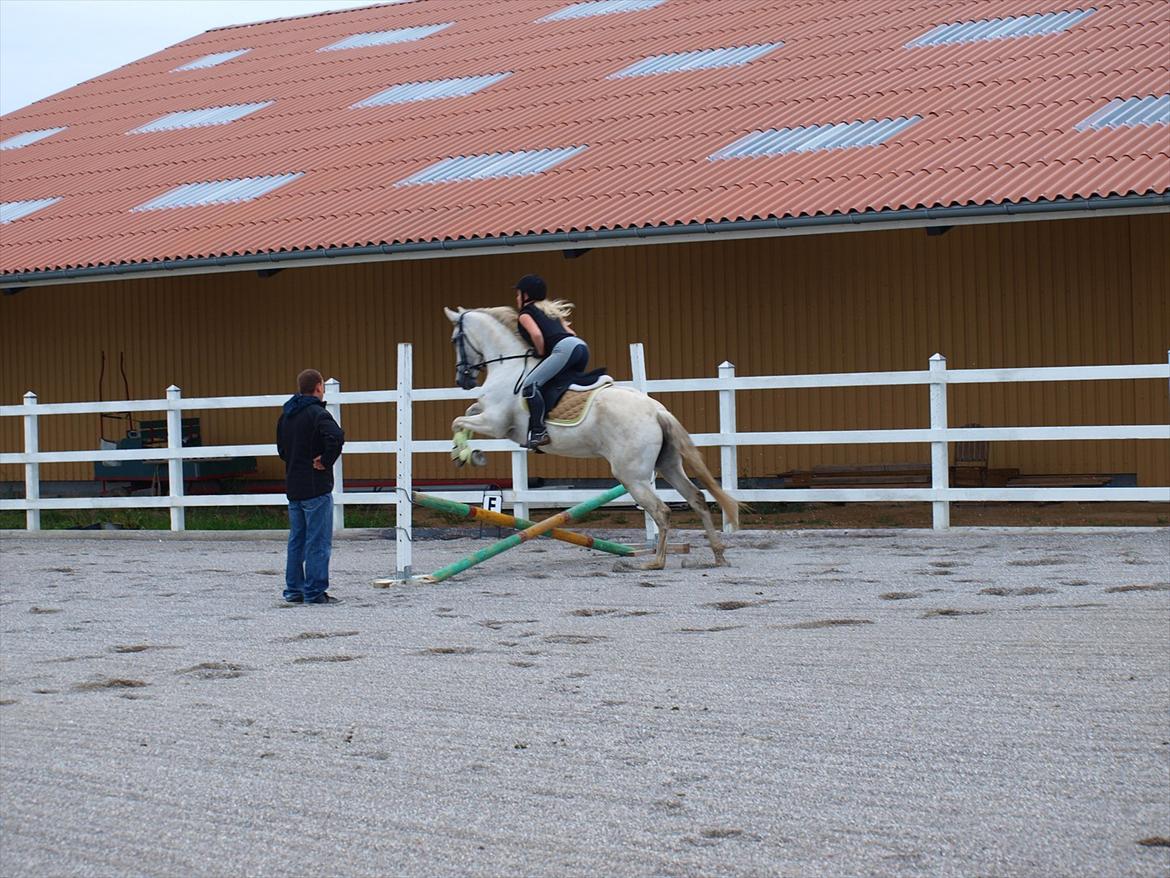 Anden særlig race Raya Narbonde - Første Gang vi rider der hjemme (: billede 3