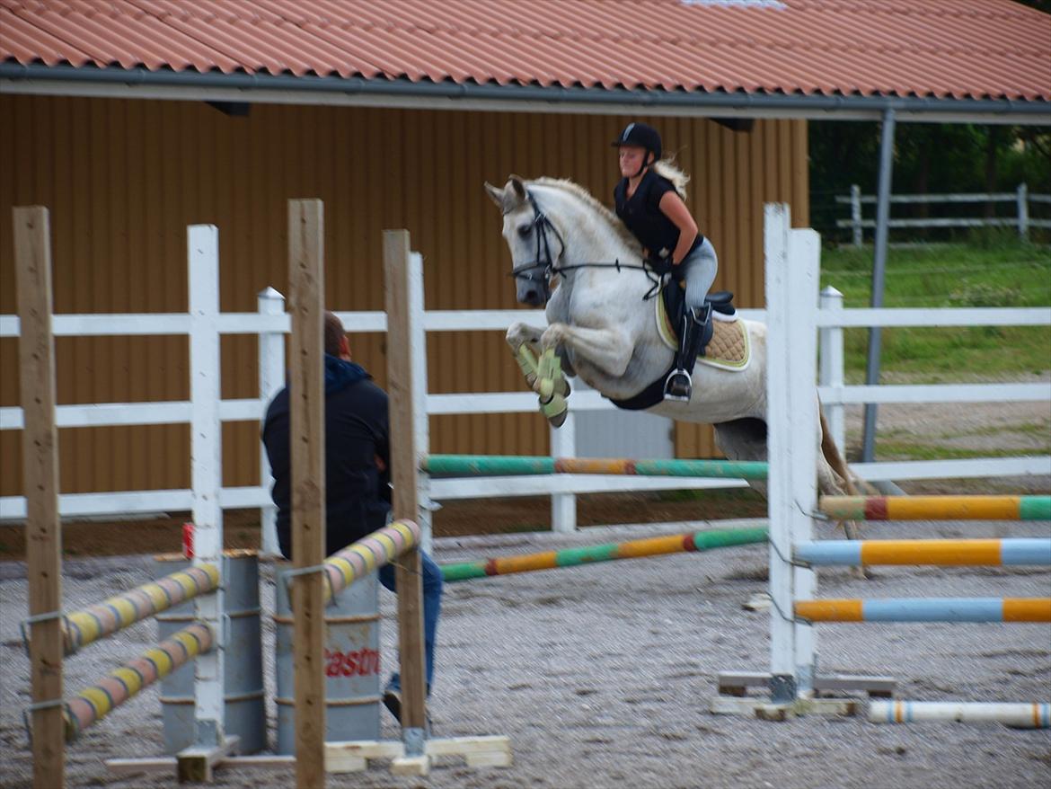 Anden særlig race Raya Narbonde - Vi to på banen men vi svæver som en (: billede 5
