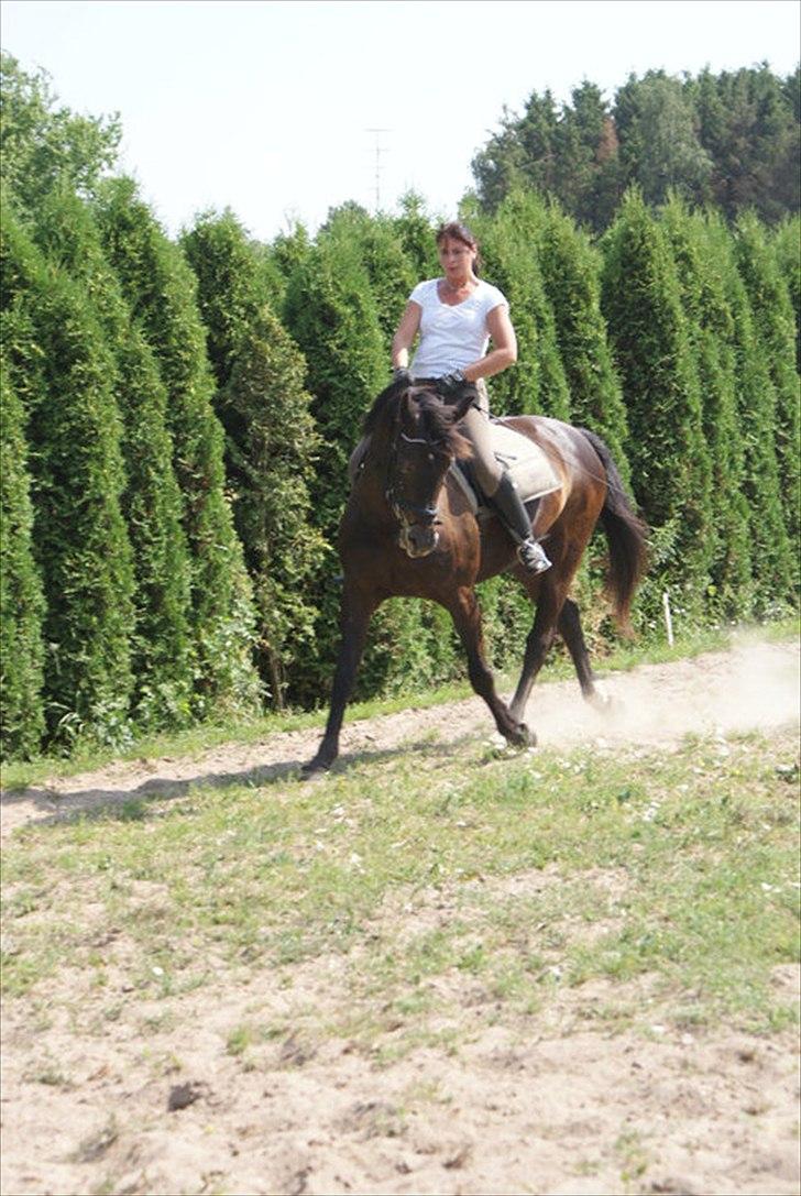 Oldenborg Nicolé <3 - Blærerøven<3 billede 5