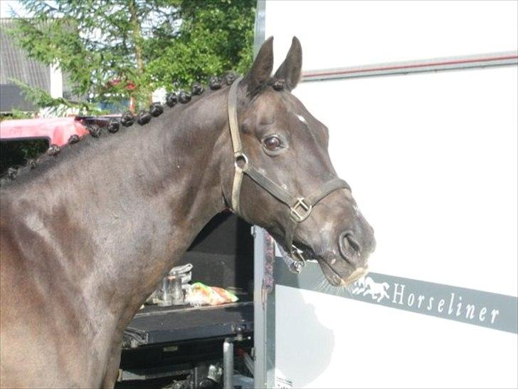 Oldenborg Nicolé <3 - Sommeren 2009 billede 7