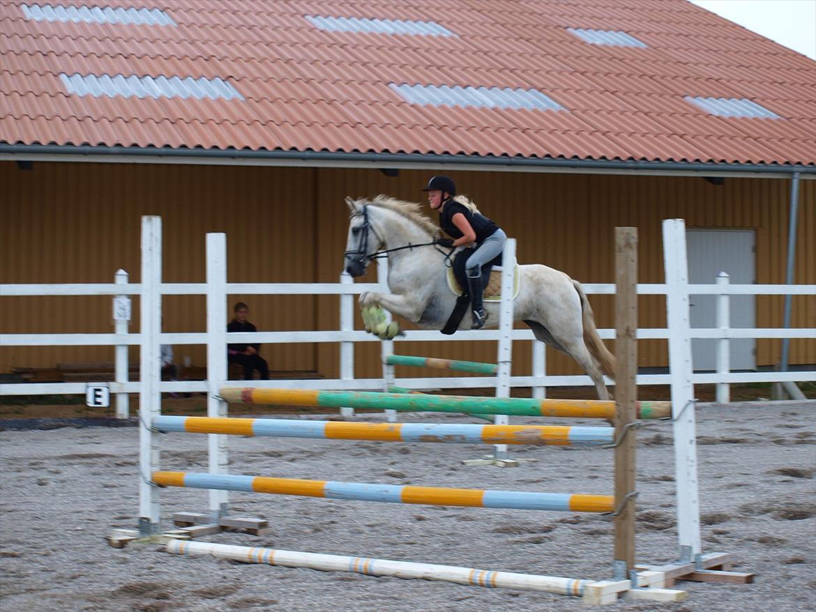 Anden særlig race Raya Narbonde - Raya Narbone du skøn tøs! <3 billede 6