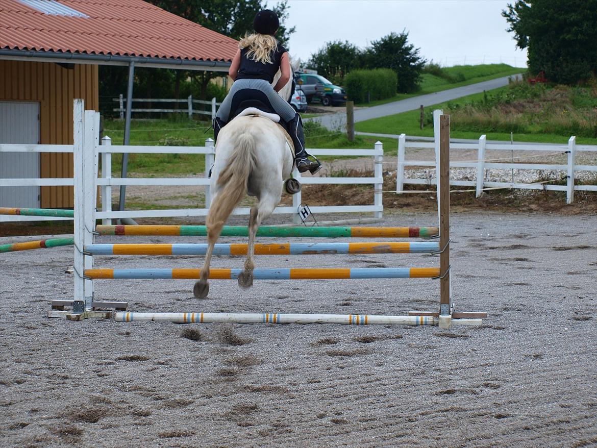 Anden særlig race Raya Narbonde - Når enden er god er alting godt :* billede 7