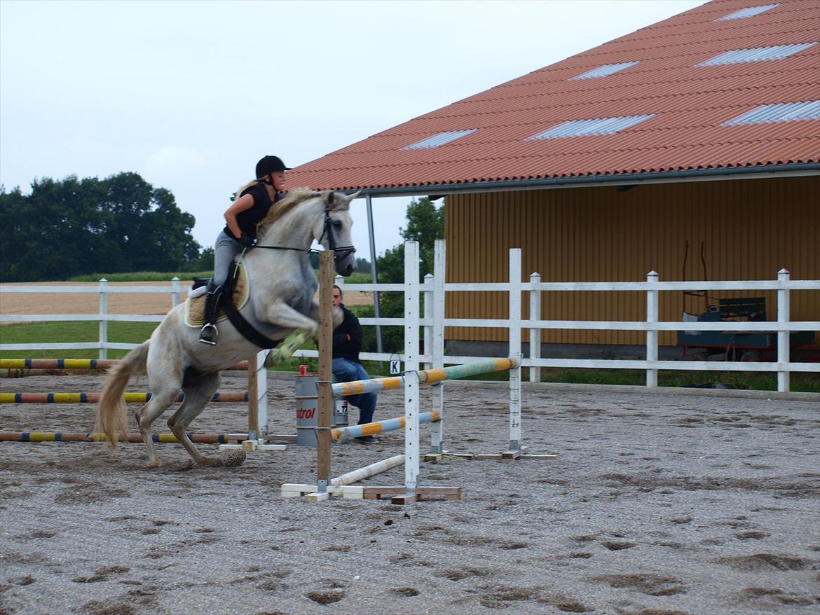 Anden særlig race Raya Narbonde - Du min engel og jeg følger jeg svæver på skyerne  billede 8
