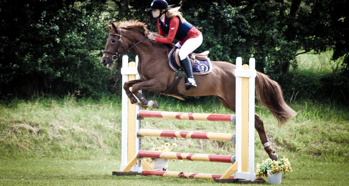 Hollandsk Sportspony iris - Taget af Caroline Petersen billede 18