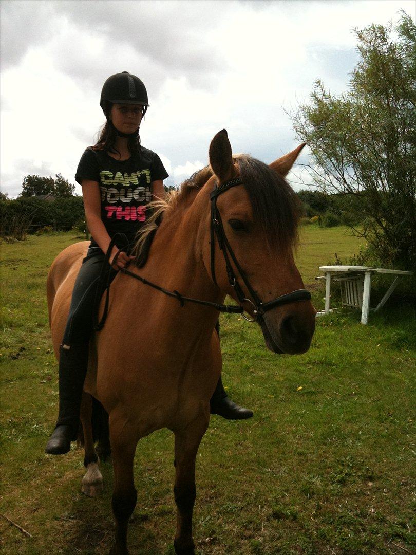 Anden særlig race Cosmos billede 2