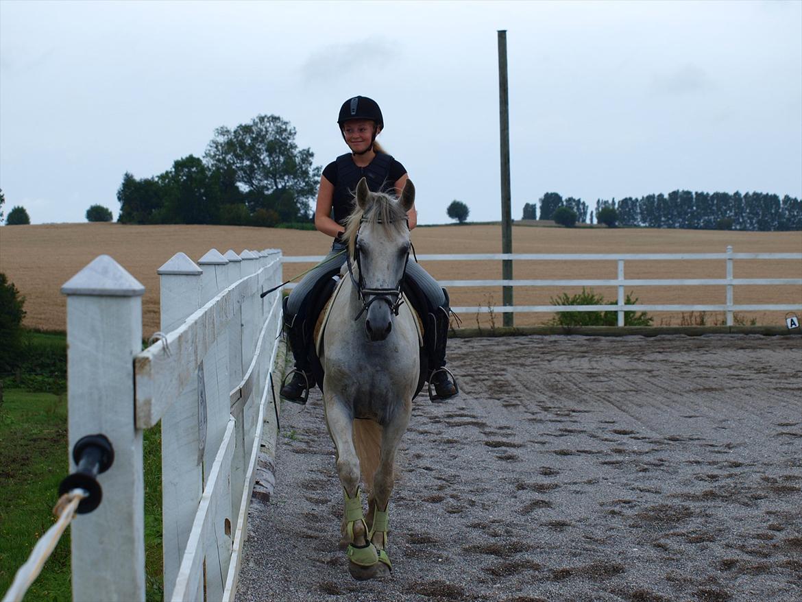 Anden særlig race Raya Narbonde - Vi to men følges som en billede 9