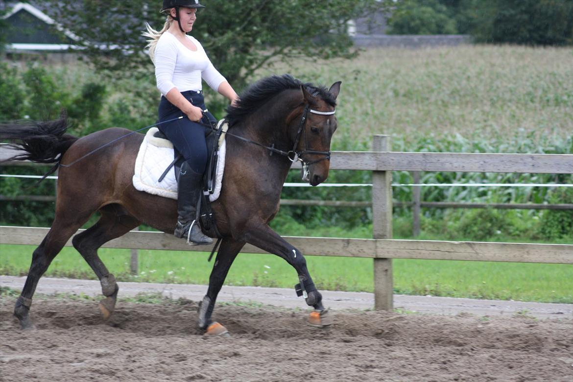 Anden særlig race Nalot - velkommen til nalots profil (; Øgning - taget af mor - d. 14/8/2011 billede 5