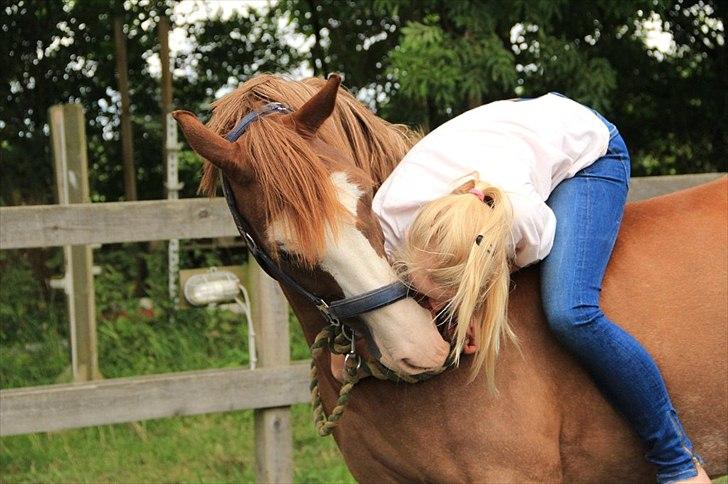 Welsh Partbred (Sec F) Rosengårdens Sodapop - Friendship is like peeing on yourself: Everyone can see it, but it's only you who can feel the warmth it brings


- www.starphoto.dk billede 18