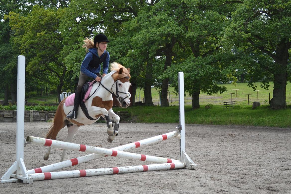 Anden særlig race Rasmus billede 5