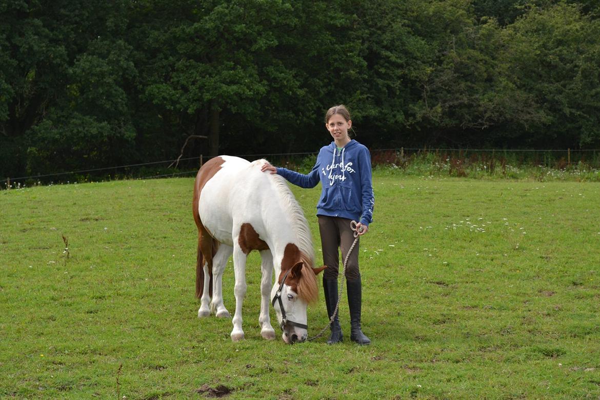 Anden særlig race Rasmus billede 6