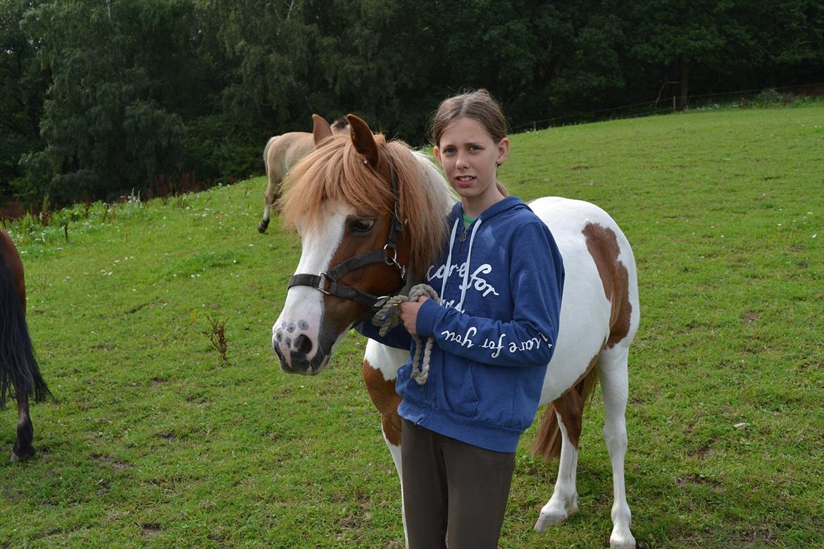 Anden særlig race Rasmus billede 7