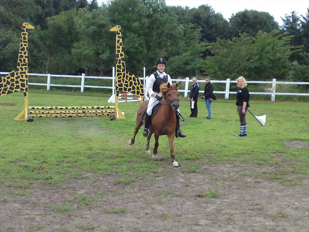 Anden særlig race Magic Mio! Altid gemt i hjertet. <3 - Lige færdig med LD spring 4. plads!:)<3<3. billede 19