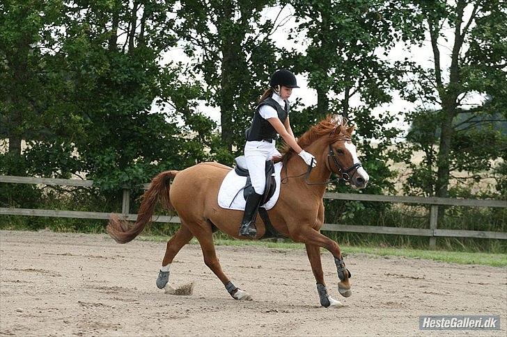 Anden særlig race Lego Star - dygtige lego efter 2 0 runder i HARK :o)
foto: Malene Markmann billede 5