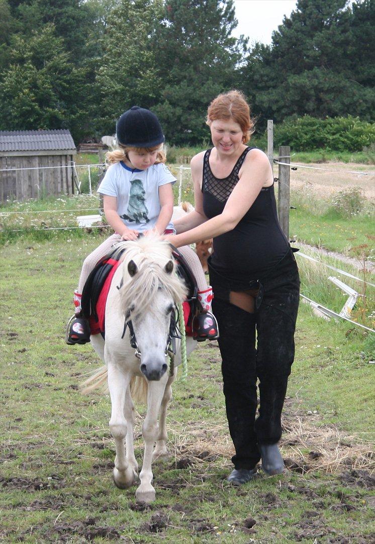 Anden særlig race Snefnug - Katrines 1. ridetur på Snefnug billede 9
