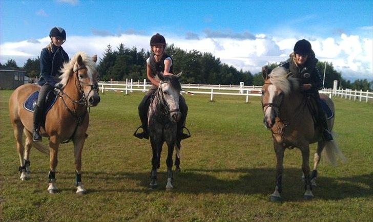 Haflinger Cirkeline<3 - Naja og Julie i de bedste!:$ billede 5