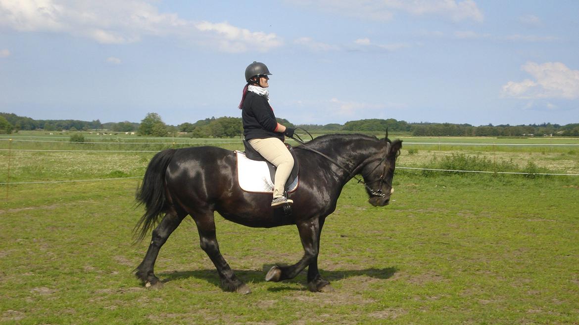 Frieser Daisy - Her får Maja lige undervisning af mig - en skam at i ikke kan se hvad jeg gør ved hende henne i hjørnet.. billede 13