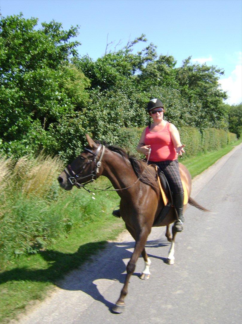 Anden særlig race Agapi - Min aller første tur på prinsessen... Takfordi du har gjort så stort et arbejde med hende Camilla... billede 17