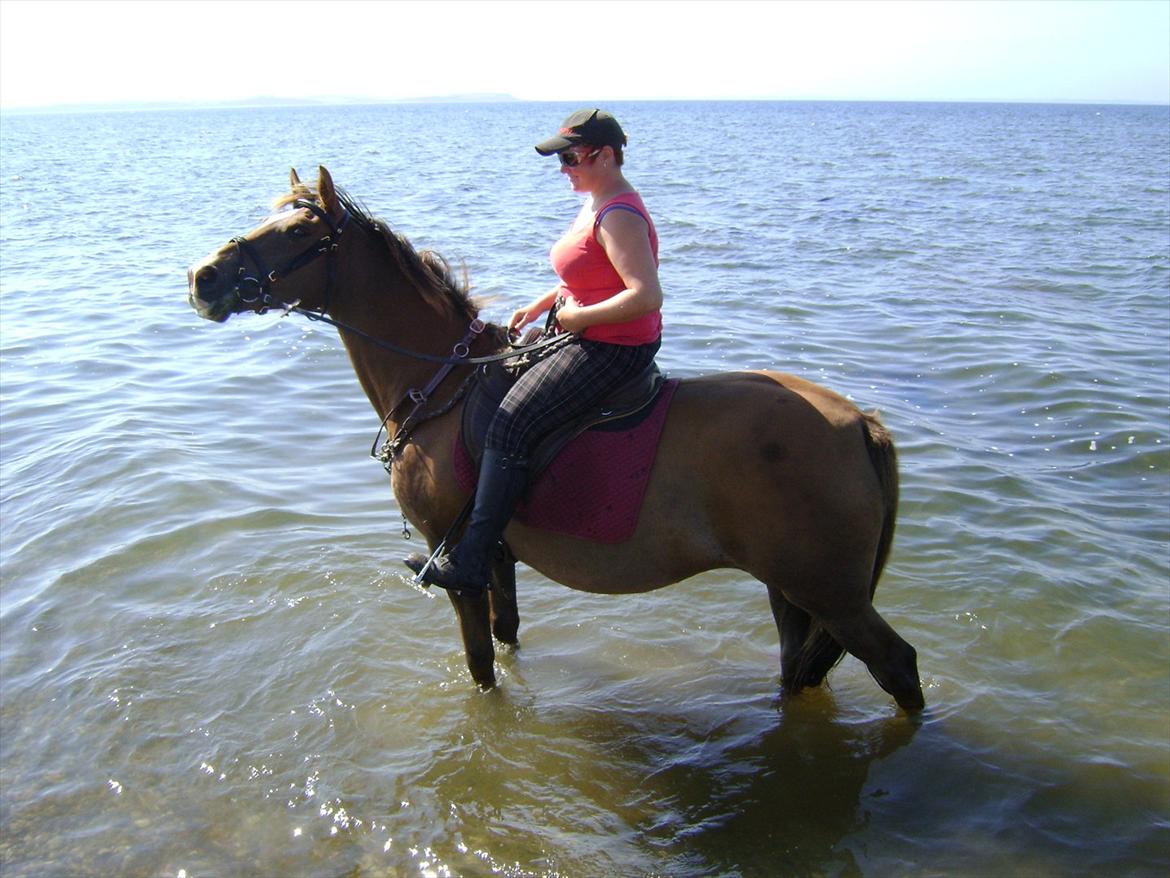 Anden særlig race Kiaya - Min SMUKKE hoppe, en tur i vandet!!! billede 20
