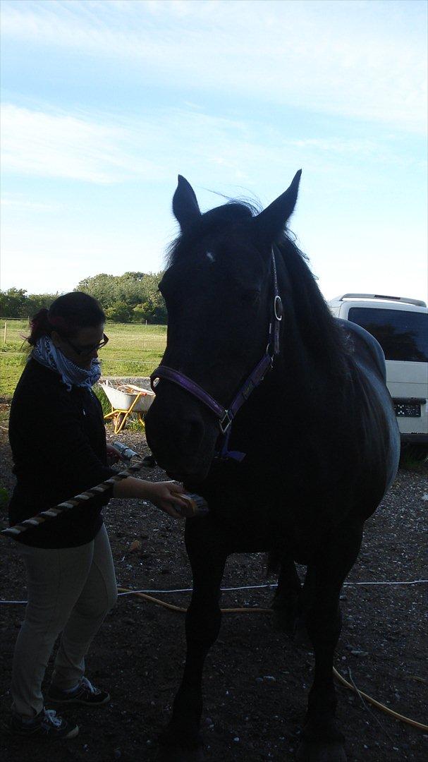 Frieser Daisy - Så! Maja, skal jeg drille dig? billede 6