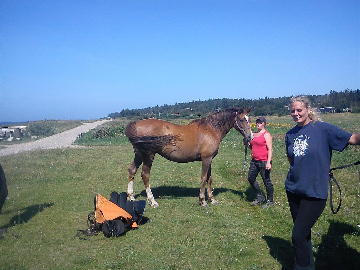 Anden særlig race Kiaya - SMUKKE smukke pige!! billede 24