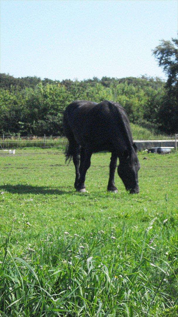 Frieser Daisy - Er jeg ikke bare dejlig? billede 10