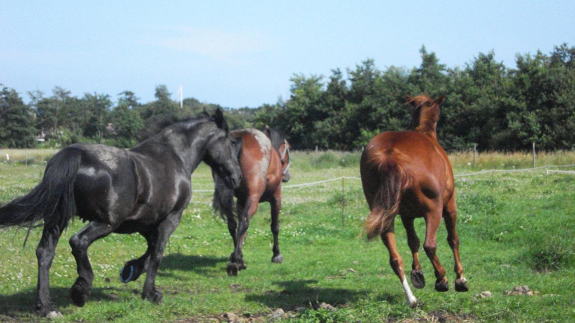Frieser Daisy - Sådan ser vi ud, når vi løber - Er vi ikke smukke! billede 15