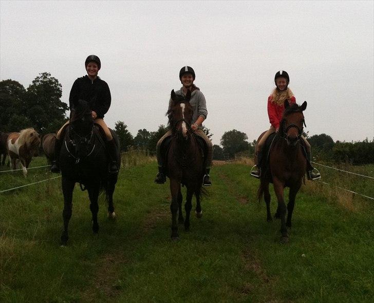 Anden særlig race Pretty Princess SOLGT billede 17