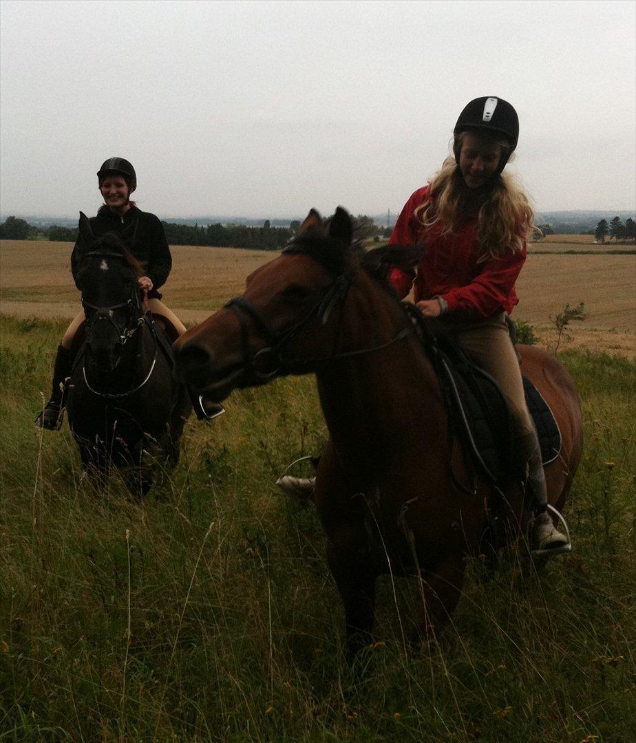 Anden særlig race Pretty Princess SOLGT billede 18