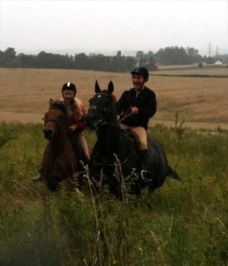 Anden særlig race Pretty Princess SOLGT billede 19