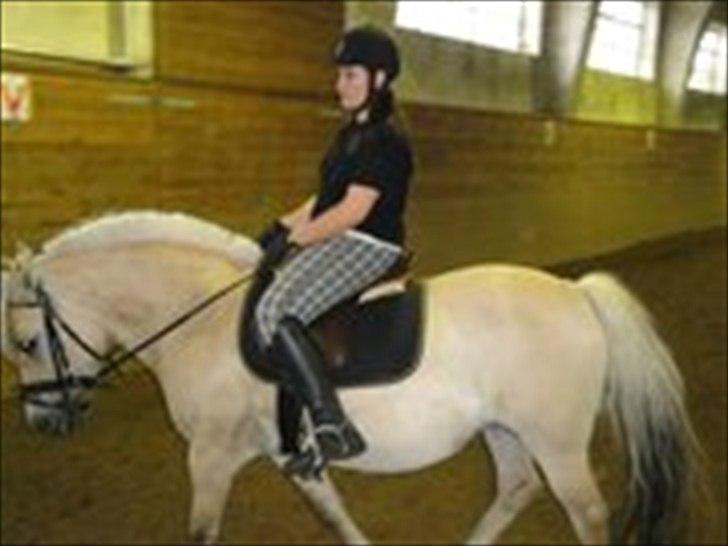 Fjordhest Pouline - <3
- Beklager kvaliteten.. billede 18