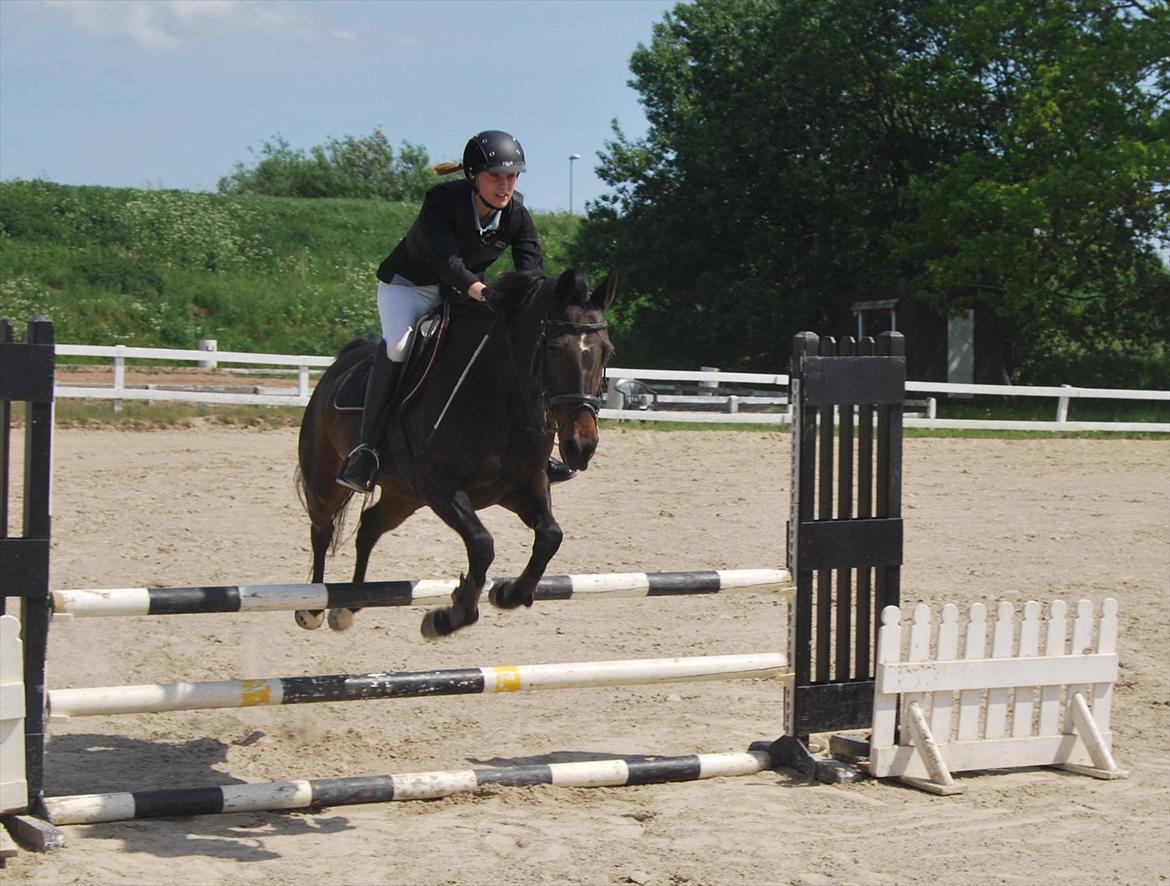 Anden særlig race Lux Liberty - Part billede 5