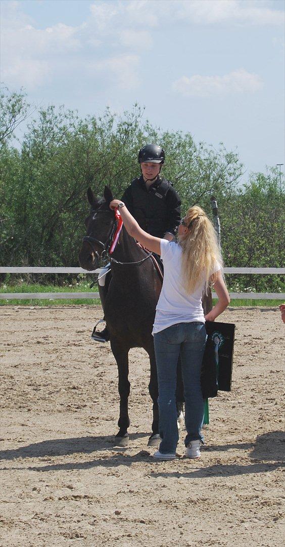 Anden særlig race Lux Liberty - Part billede 12