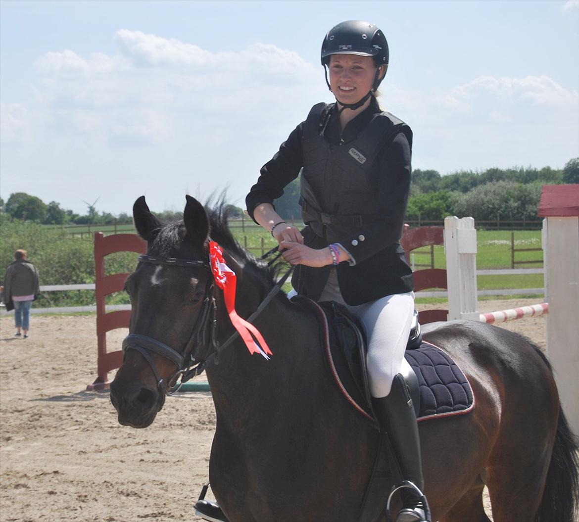 Anden særlig race Lux Liberty - Part - vundet <3 billede 6