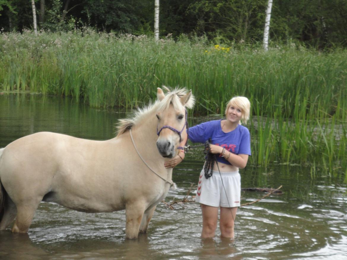 Fjordhest Kabbina - Ude ved Vestskovensbade sø med Fie og Mistery. 
Første gang hun var ude i vandet :D billede 3