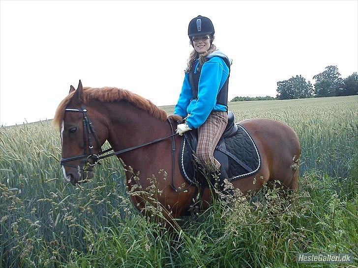 New Forest Igor <3 - Vores anden tur sammen! <3
Dejlige dreng! :D
Foto af - Nicoline Madsen billede 18