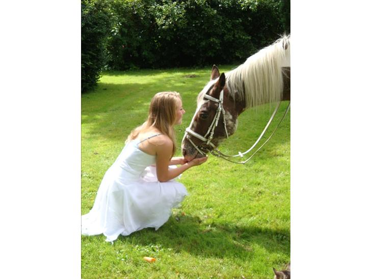 {{currentPhoto.altText}} billede {{currentPhoto.number}}